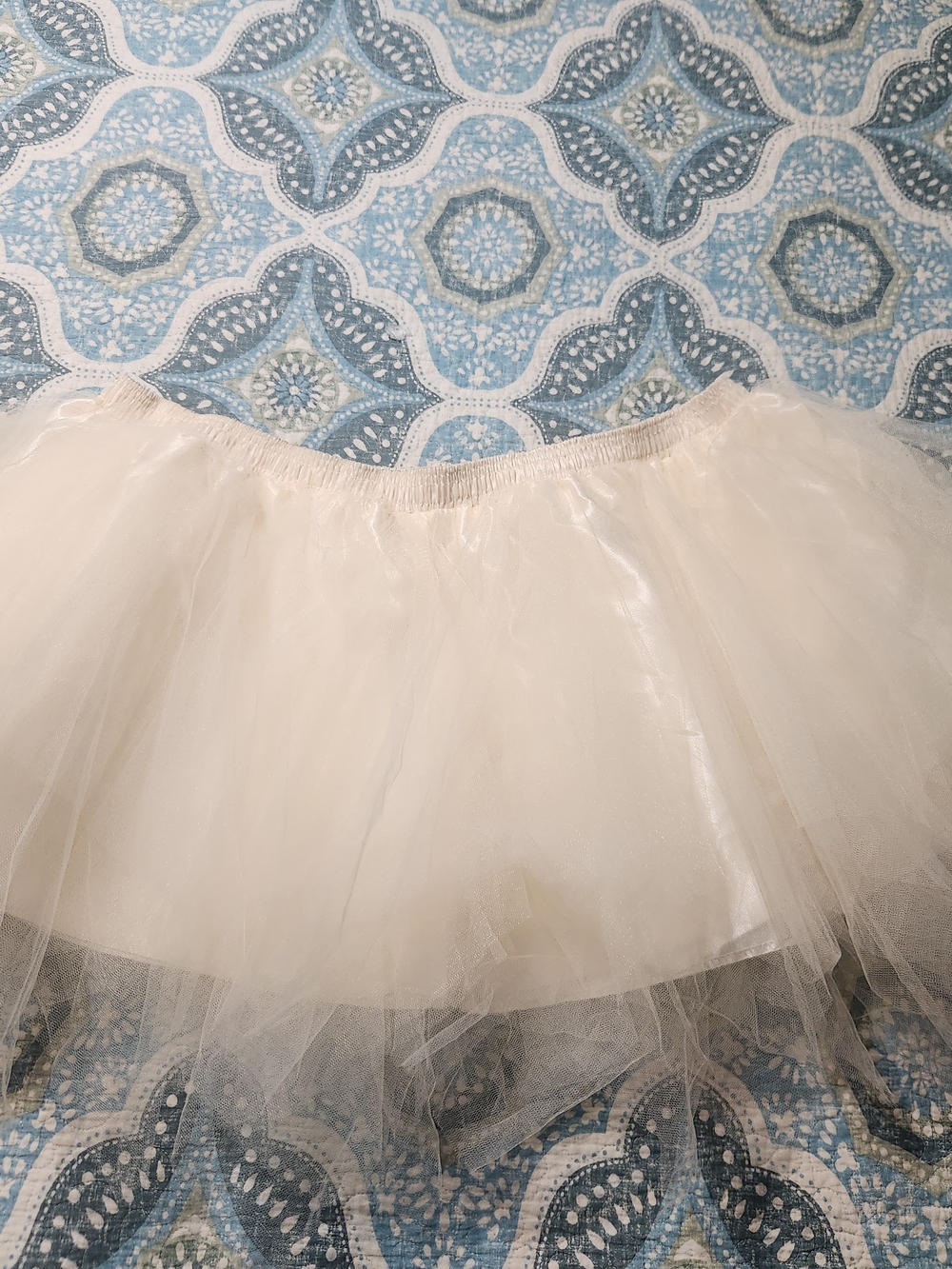 Women's Cream Tulle Tutu Skirt with Elastic Waist